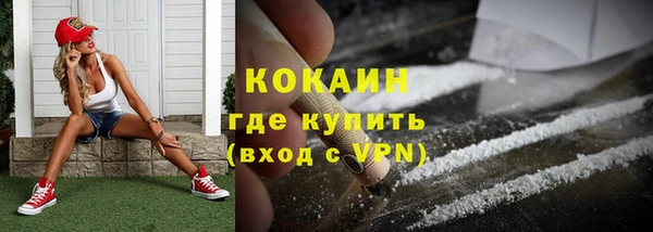 шишки Рославль