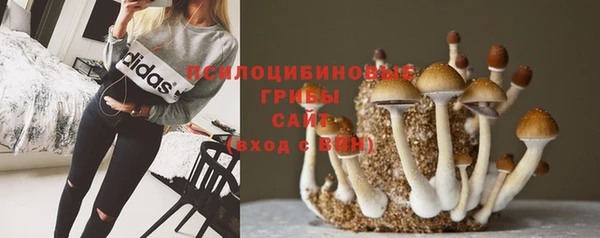 бутират Россошь