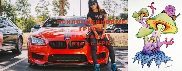 мескалин Ростов