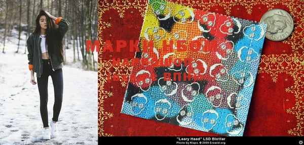 шишки Рославль